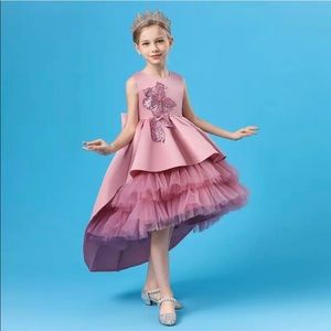 Special Occasion Sparkly Embroidered Birthday Wedding Princess Flower Dress 5044